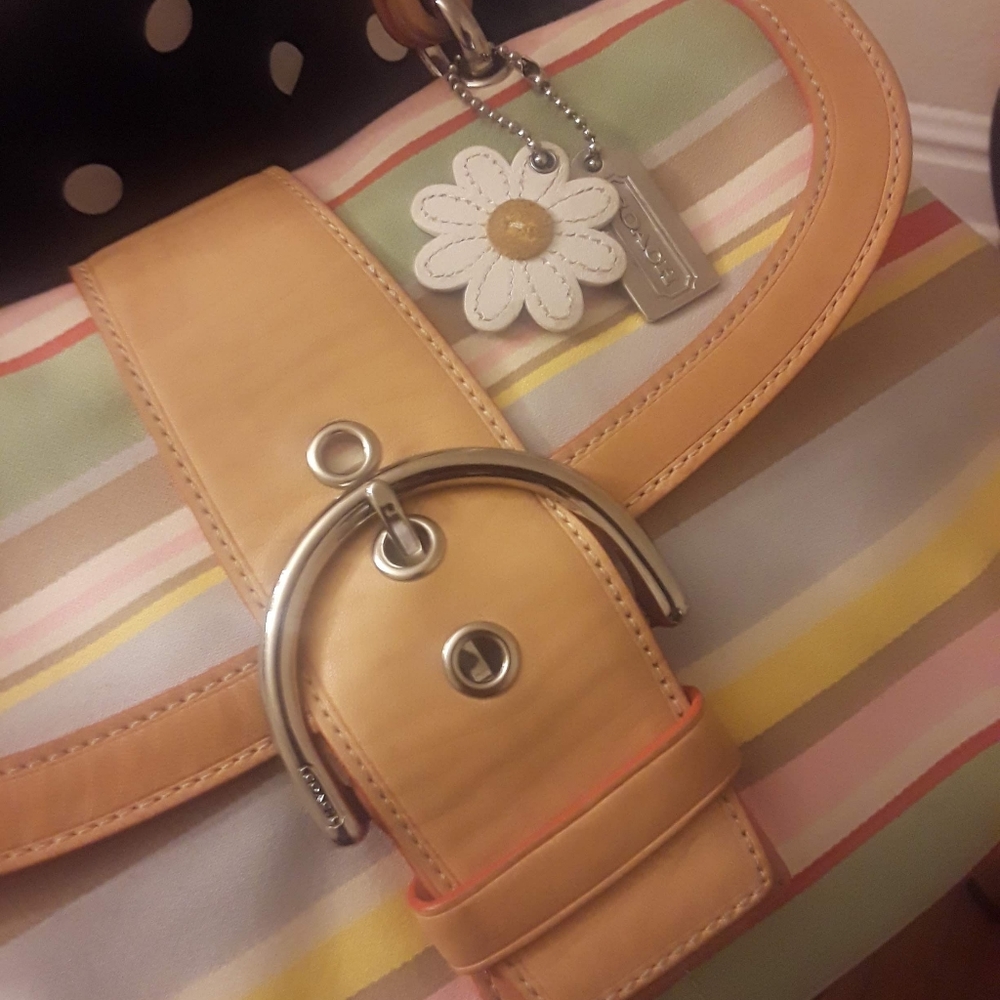 Coach daisy multi stripped mini hobo